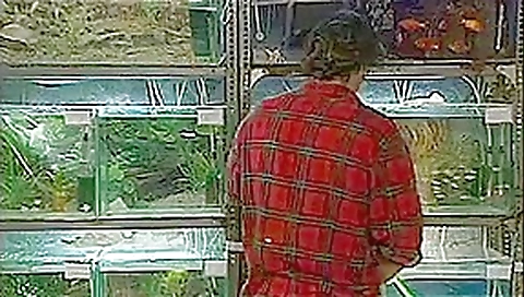 Cheating Wife Dina Pearl in Pet Store Anal