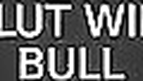 cuckold indian wife wife white bull
