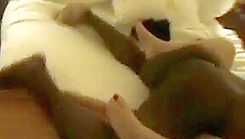 Cuck tapes Wife Breeding with BBC (interracial cuckold)