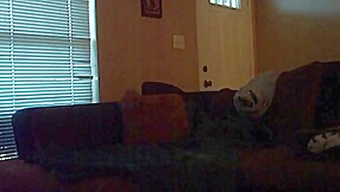 Horny Interracial, Blowjob xxx movie Horny Interracial, Blowjob xxx movie